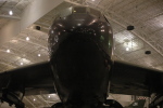 .resize_BDSC_100.JPG