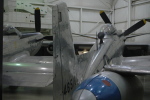 .resize_BDSC_19.JPG