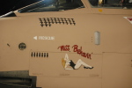 .resize_BDSC_80.JPG