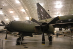 .resize_BDSC_95.JPG