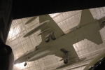 .resize_BDSC_96.JPG