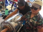 .resize_IMG_3509.JPG