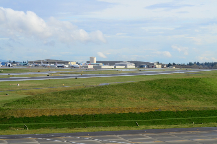 .resize_DSC_7809.JPG
