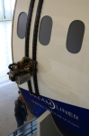 .resize_DSC_7541.JPG