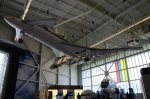 .resize_DSC_7581.JPG