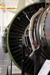 .resize_DSC_7653.JPG