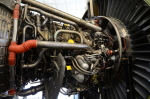 .resize_DSC_7656.JPG