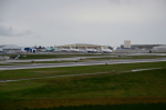 .resize_DSC_7689.JPG