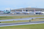 .resize_DSC_7762.JPG