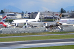 .resize_DSC_7766.JPG