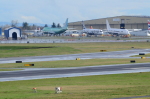 .resize_DSC_7790.JPG