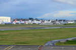 .resize_DSC_7820.JPG