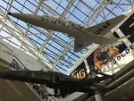 .resize_IMG_1529.JPG