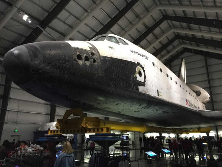 .resize_IMG_1481.JPG