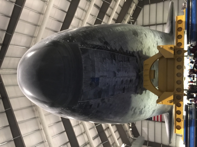 .resize_IMG_1484.JPG