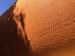 .resize_IMG_1498.JPG