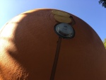 .resize_IMG_1499.JPG