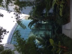 .resize_IMG_1517.JPG