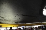 .resize_DSC_8483.jpg