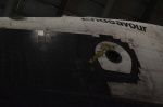 .resize_DSC_8598.jpg