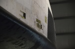 .resize_DSC_8667.jpg