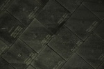 .resize_DSC_8669.jpg