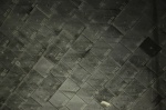 .resize_DSC_8670.jpg