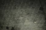 .resize_DSC_8671.jpg