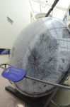.resize_DSC_8828.jpg