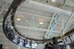 .resize_DSC_4557.JPG