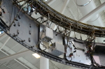 .resize_DSC_4564.JPG