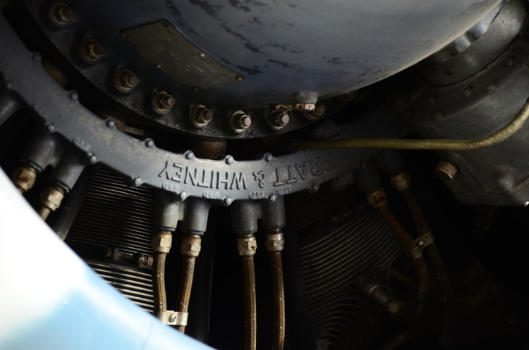 .resize_DSC_3795.JPG
