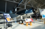 .resize_DSC_3779.JPG