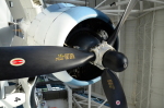 .resize_DSC_3792.JPG