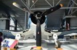 .resize_DSC_3793.JPG