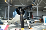 .resize_DSC_3794.JPG