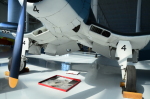 .resize_DSC_3802.JPG