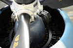 .resize_DSC_3811.JPG