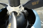 .resize_DSC_3812.JPG