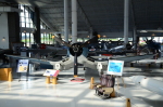 .resize_DSC_3854.JPG