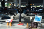 .resize_DSC_3855.JPG