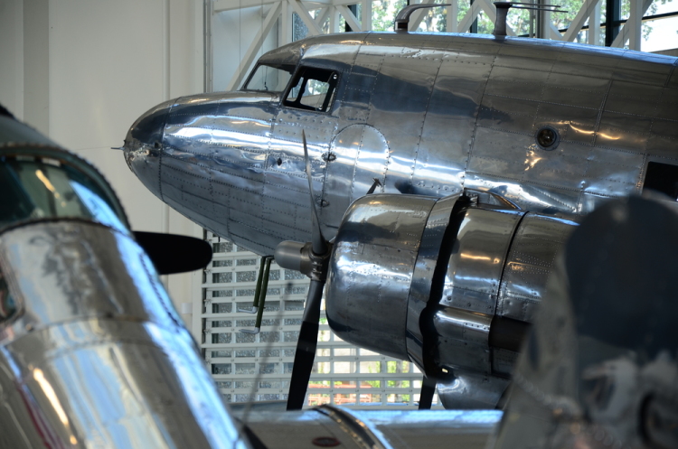 .resize_DSC_3900.JPG