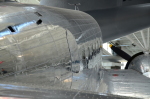 .resize_DSC_3995.JPG