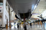 .resize_DSC_4411.JPG