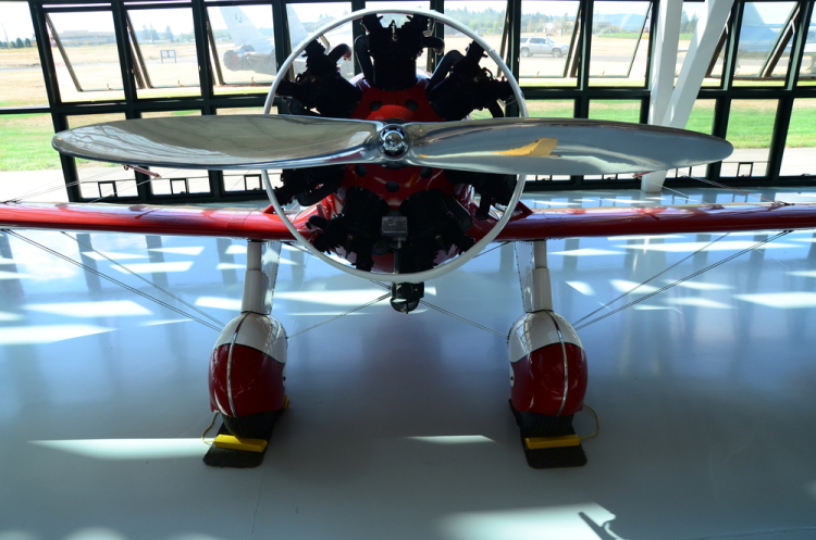 .resize_DSC_3750.JPG