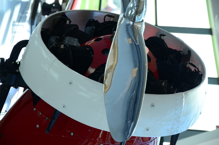 .resize_DSC_3757.JPG