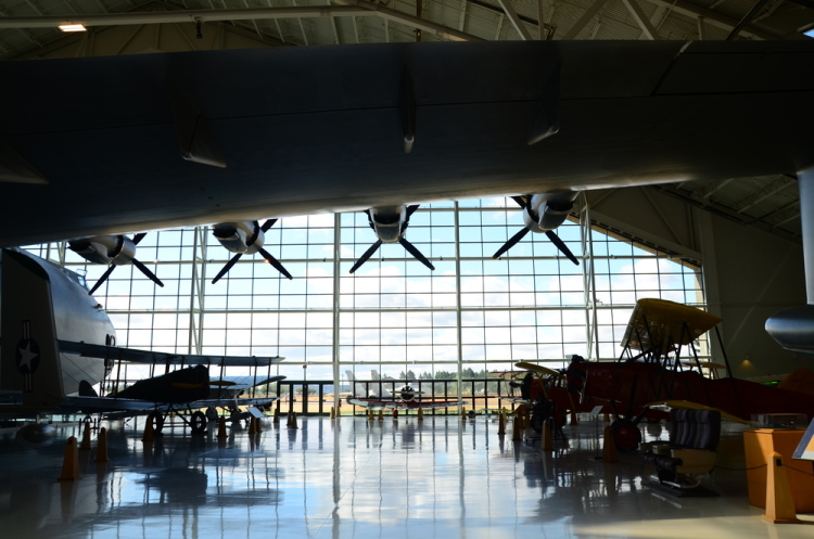 .resize_DSC_3817.JPG