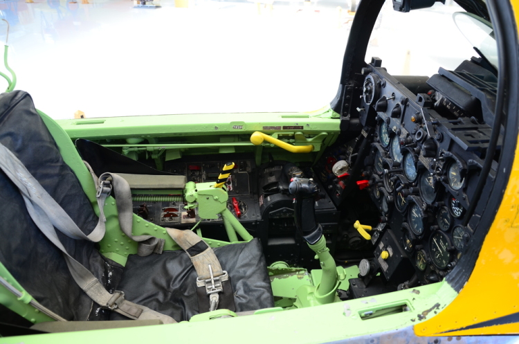 .resize_DSC_3859.JPG