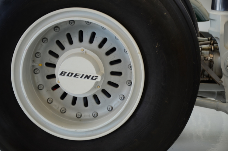 .resize_DSC_4003.JPG