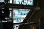 .resize_DSC_4170.JPG